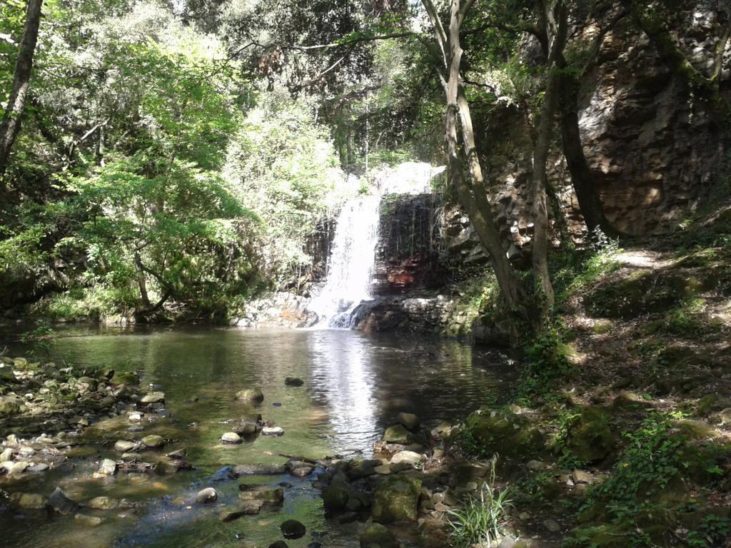 Guest House Villa Di Judighes Cerveteri Kültér fotó