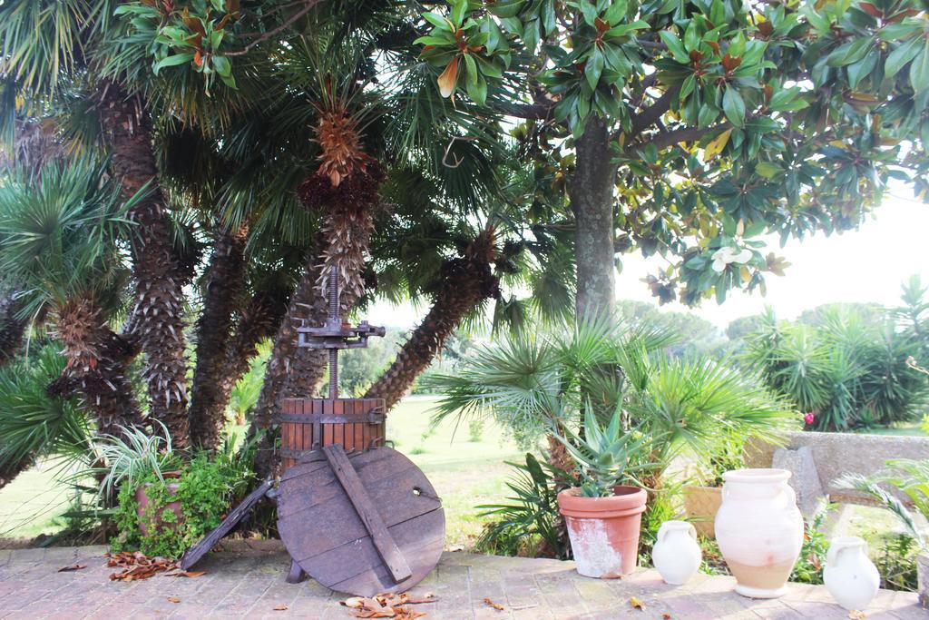 Guest House Villa Di Judighes Cerveteri Kültér fotó