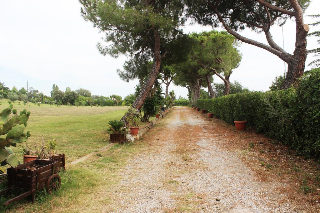 Guest House Villa Di Judighes Cerveteri Kültér fotó