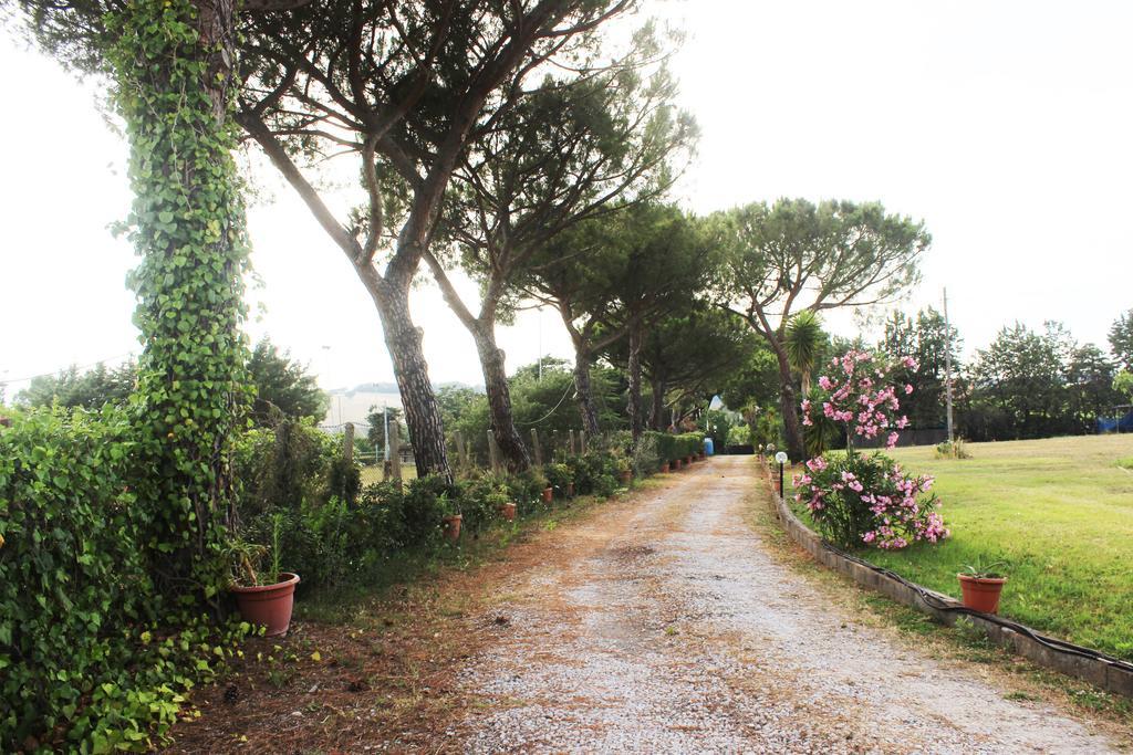 Guest House Villa Di Judighes Cerveteri Kültér fotó