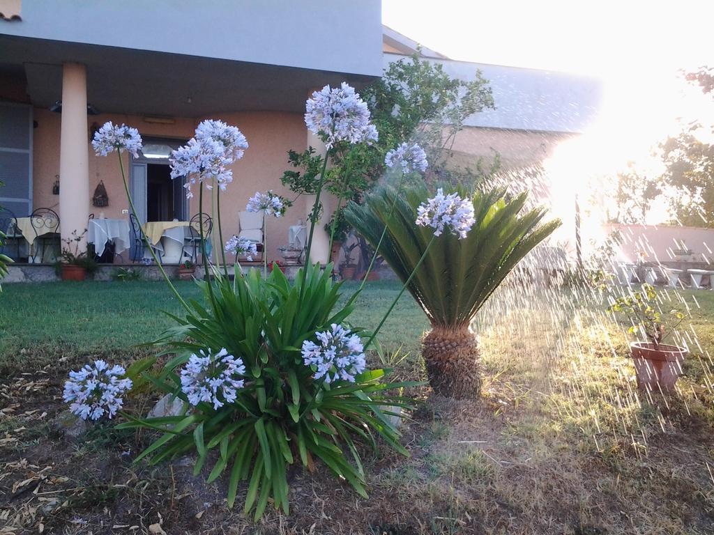 Guest House Villa Di Judighes Cerveteri Kültér fotó