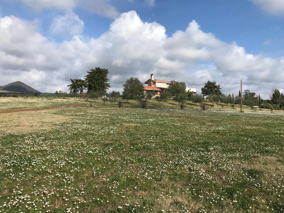 Guest House Villa Di Judighes Cerveteri Kültér fotó